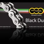 Regina Drive Chain 525ZRA 108 Links Z-RING DUAL DO 800 CCM Black Rivet Link 137ZRA/1006 2 Regina Drive Chain 525ZRA 108 Links Z-RING DUAL DO 800 CCM Black Rivet Link 137ZRA/1006