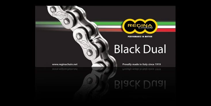 Regina Drive Chain 525ZRA 108 Links Z-RING DUAL DO 800 CCM Black Rivet Link 137ZRA/1006